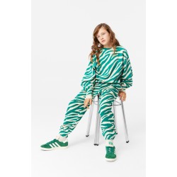 Adan Zebra Green