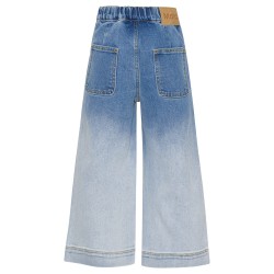 Alyna Faded Blue Denim